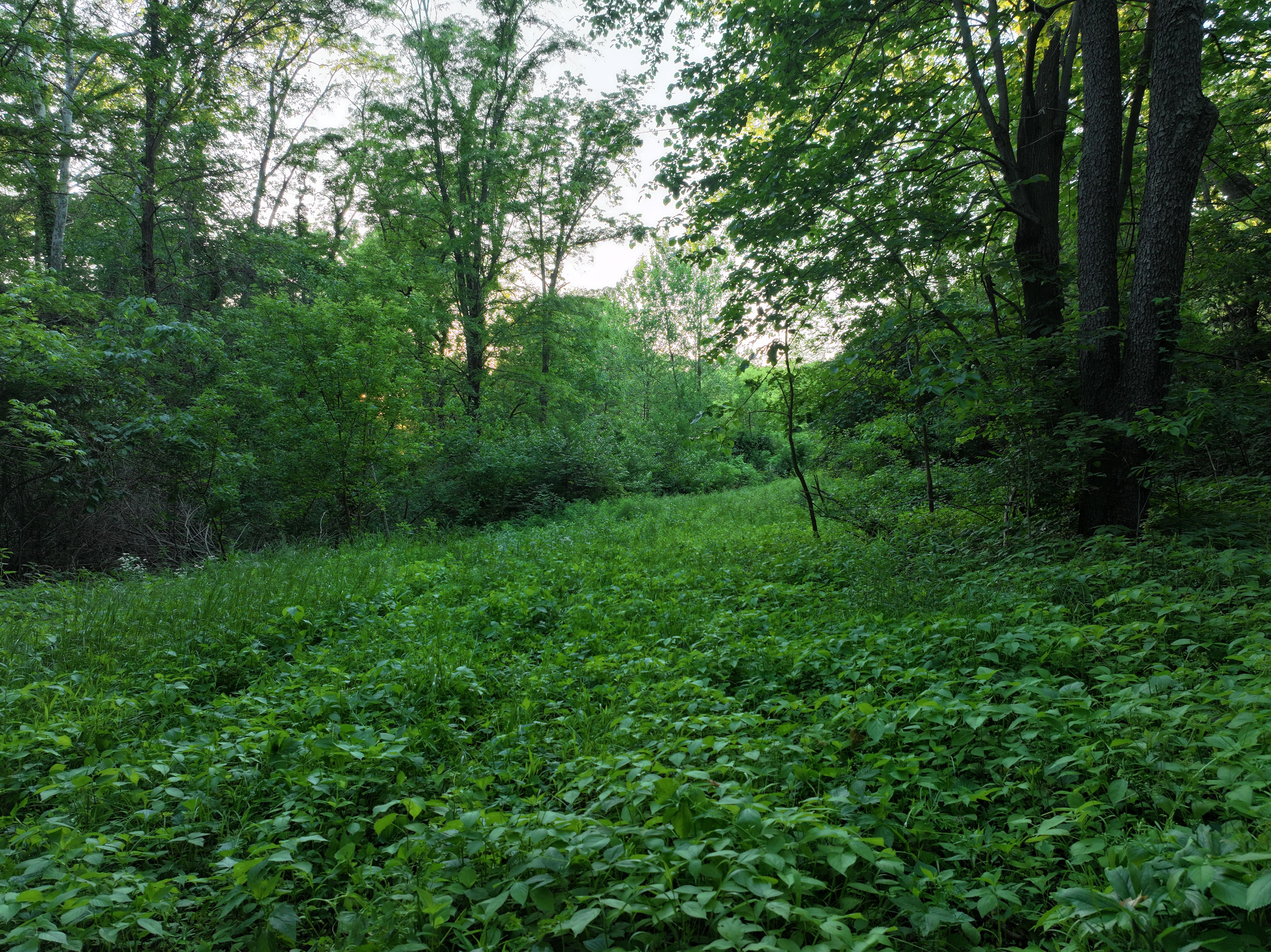 Listing Photo: Mercer-County-Land-Available